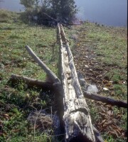 Caporciano (AQ), 1993, Sul Tratturo L'Aquila - Foggia: abbeveratoi per pecore.