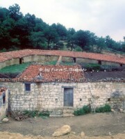 Vieste (FG), 1980, Stazzi e masserie nelle adiacenze di percorsi tratturali.