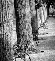 Trees, benches and people (?)
