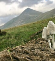 Hiking the hills of Abruzzo is a stroll through a fine menu… Walking up an appetite | smh.com.au