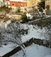 Uploaded by user
