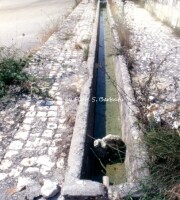 Capoprciano (AQ), 1979 circa, Tratturo L'Aquila - Foggia, Greggi di ovini, abbeveratoi e Chiesa di Santa Maria dei Cintorelli.