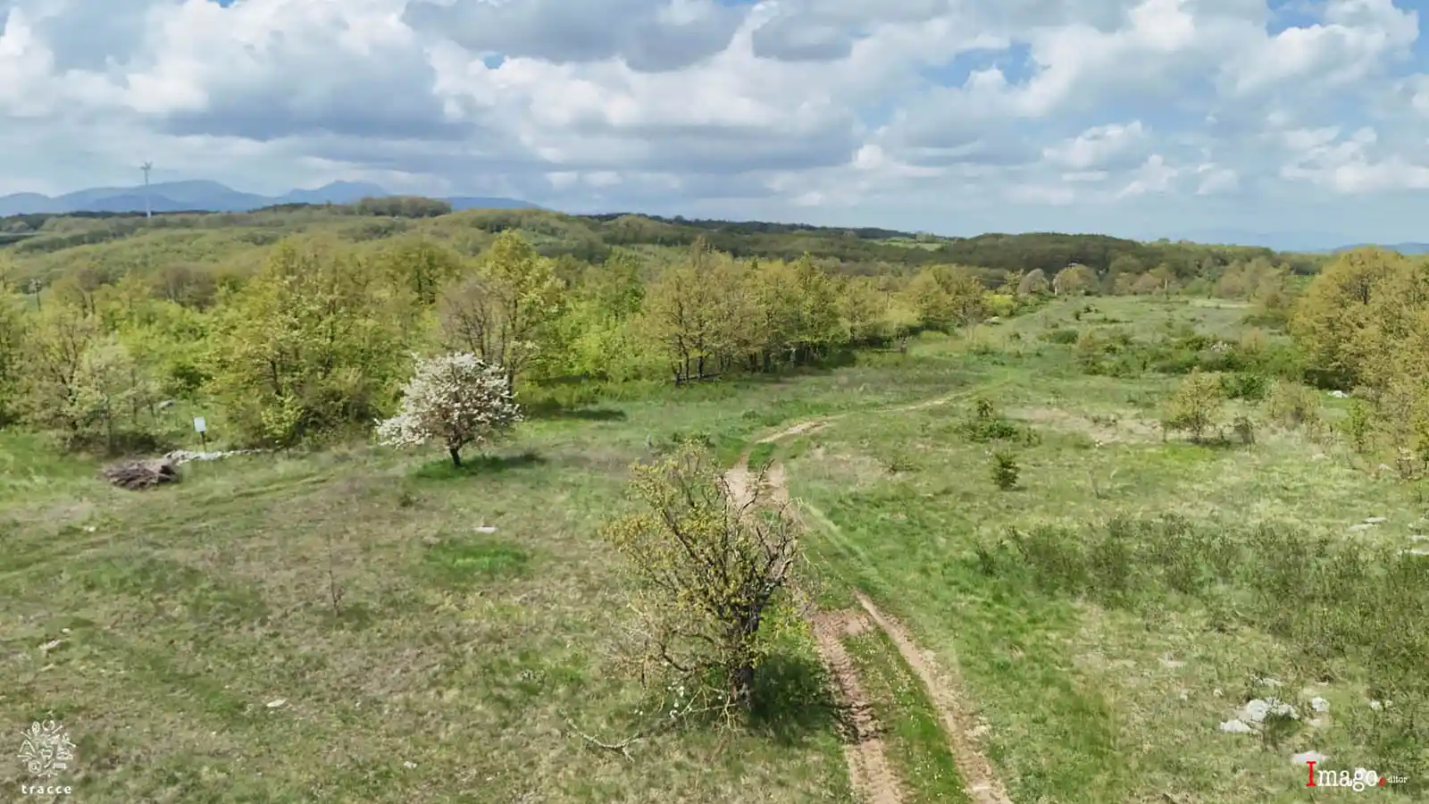 Veduta panoramica del tratturo nei pressi di via Crocelle, a nord-est di Santa Croce del Sannio: un percorso erboso attraversa un paesaggio collinare con alberi sparsi e cielo nuvoloso.