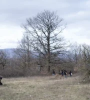 Tracce | Regio Tratturo | 21 febbraio 2026